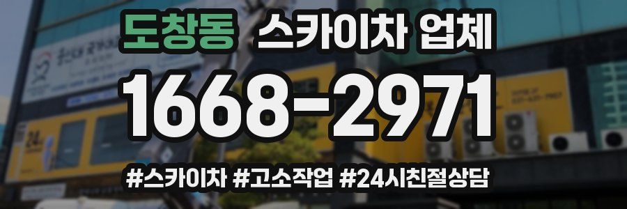 도창동 스카이차 업체