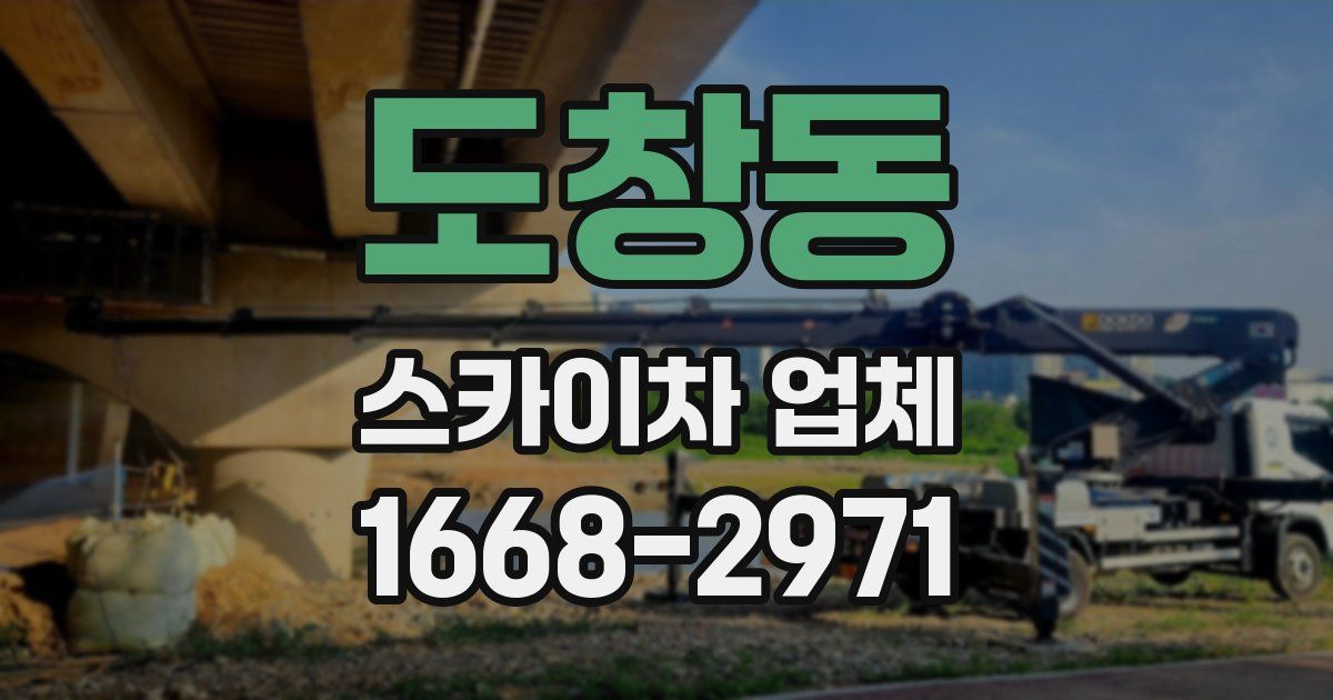 도창동 스카이차 업체