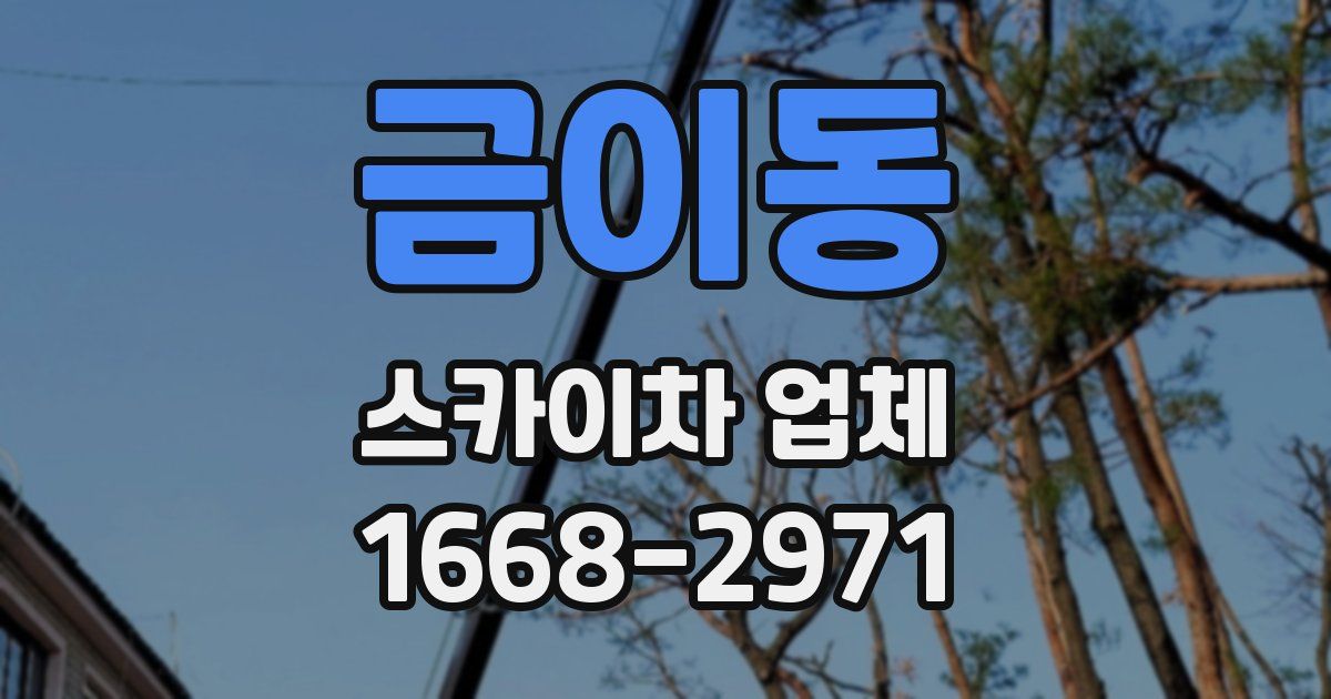 금이동 스카이차 업체
