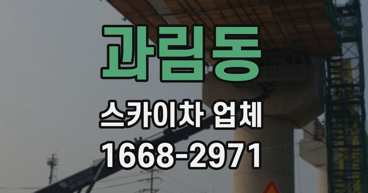 과림동 스카이차 업체