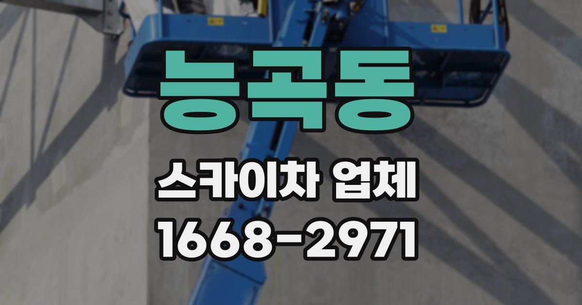 능곡동 스카이차 업체