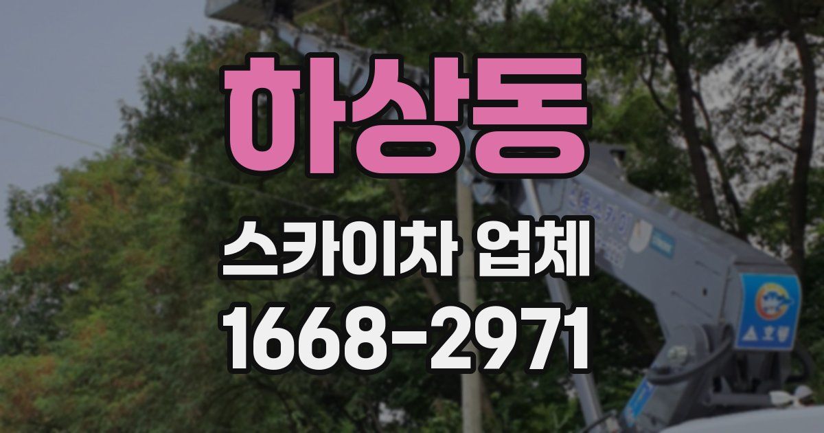하상동 스카이차 업체