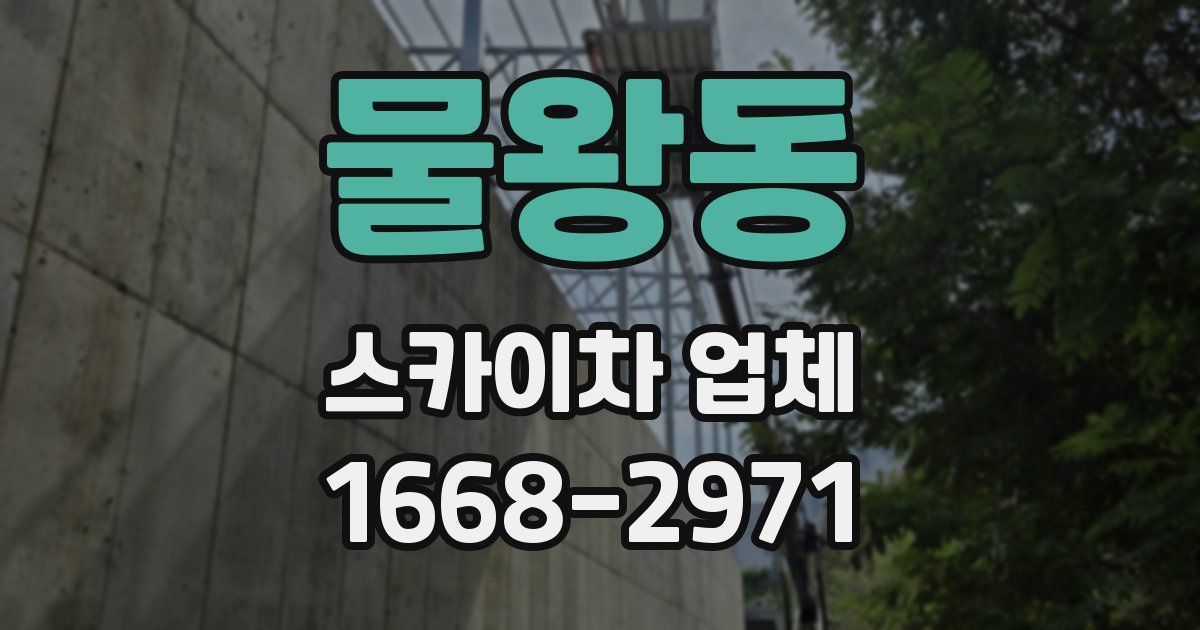 물왕동 스카이차 업체