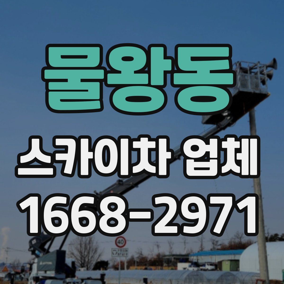 물왕동 스카이차 업체