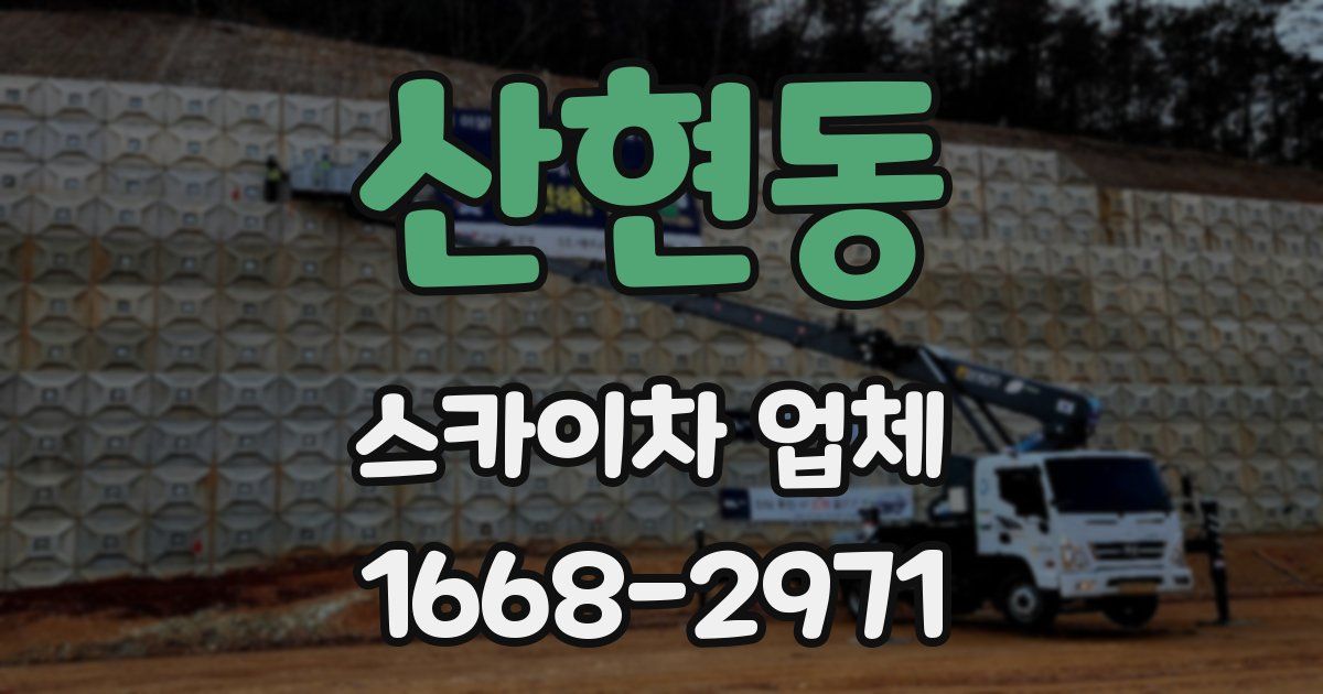 산현동 스카이차 업체