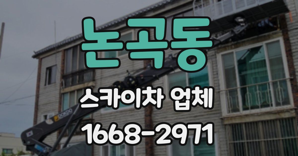 논곡동 스카이차 업체