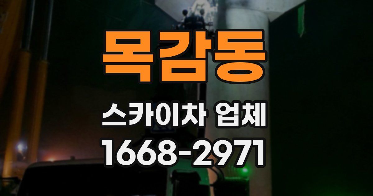 목감동 스카이차 업체