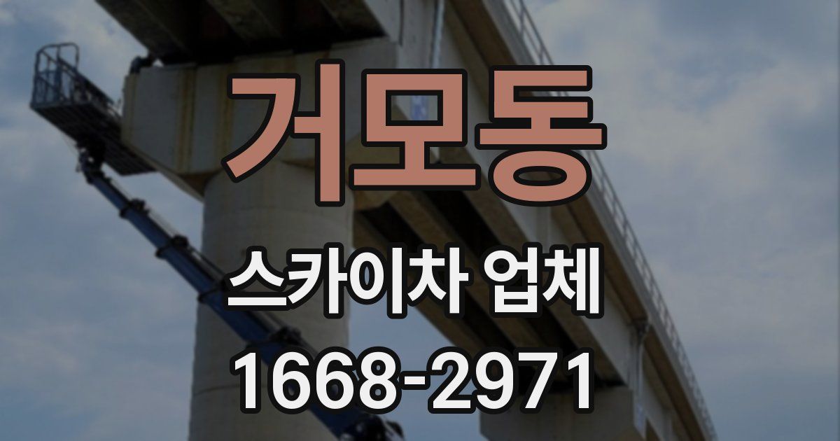 거모동 스카이차 업체