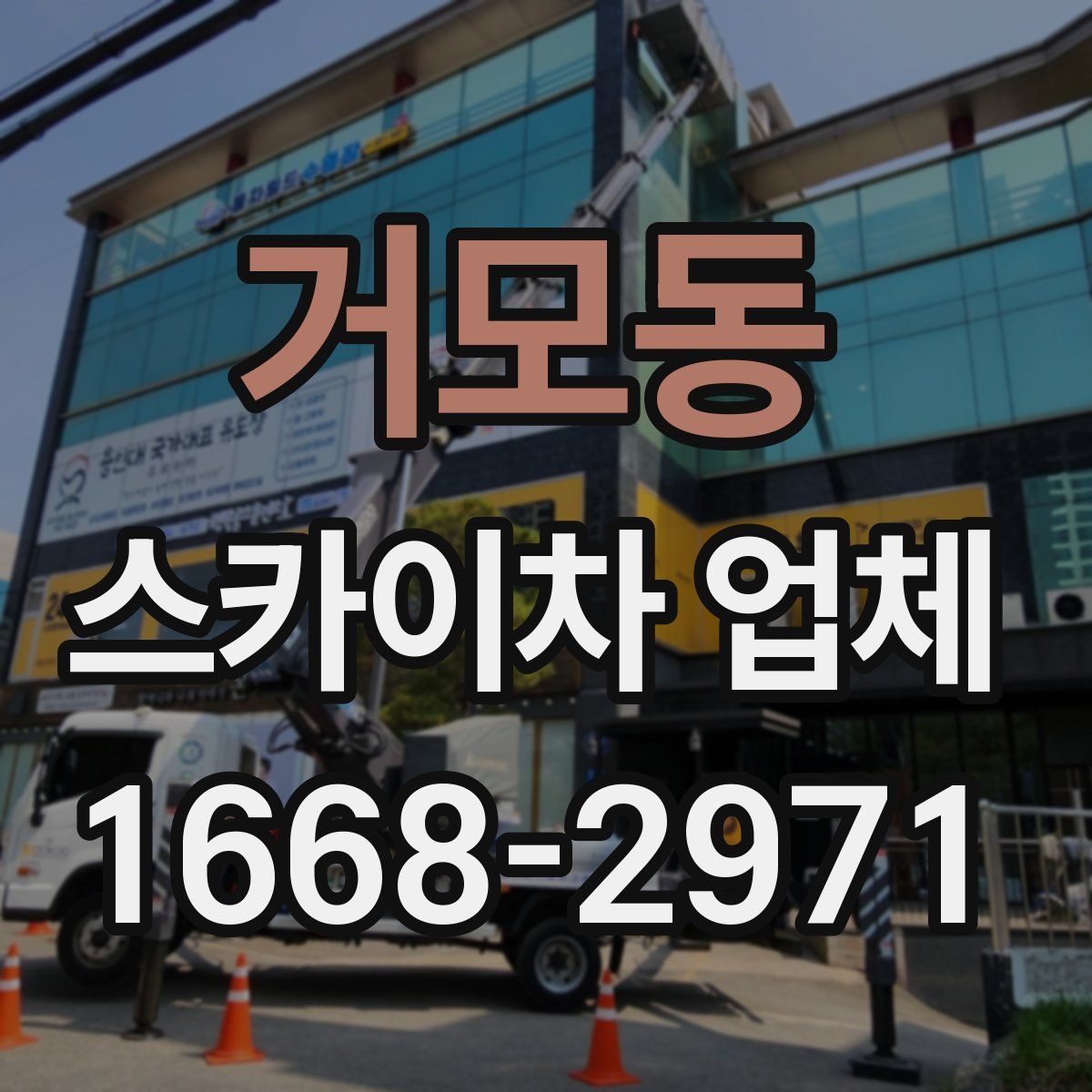 거모동 스카이차 업체