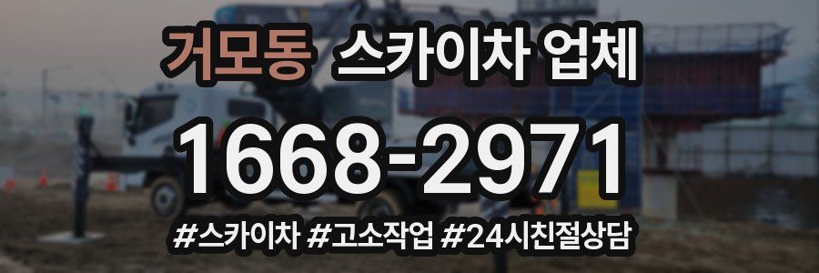 거모동 스카이차 업체