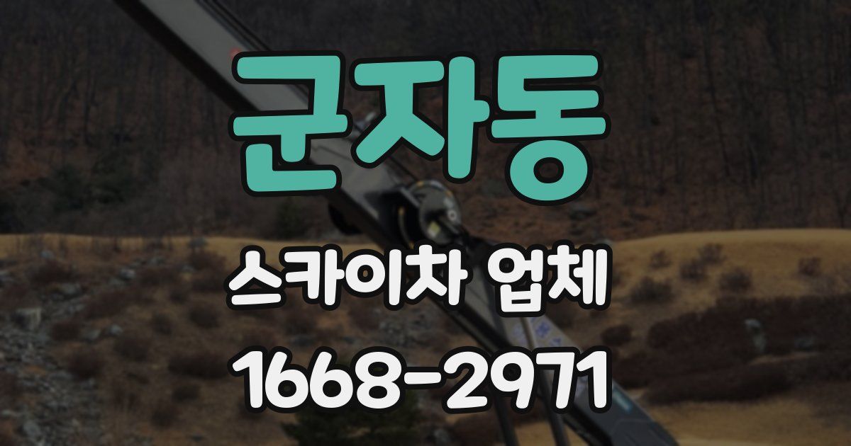 군자동 스카이차 업체