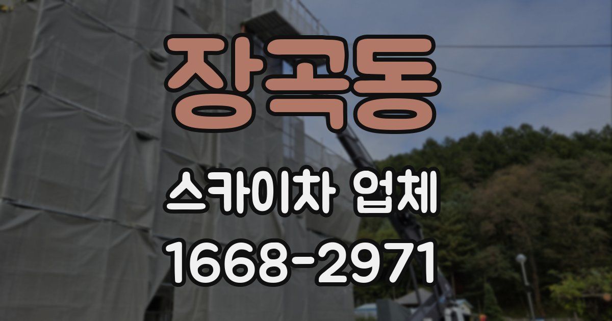 장곡동 스카이차 업체