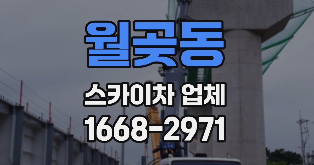 월곶동 스카이차 업체