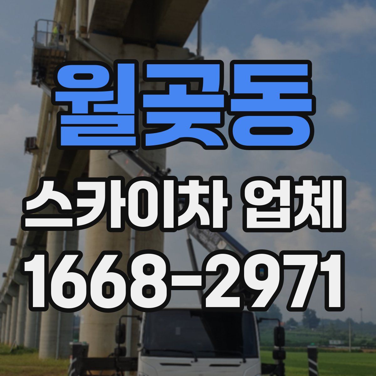 월곶동 스카이차 업체
