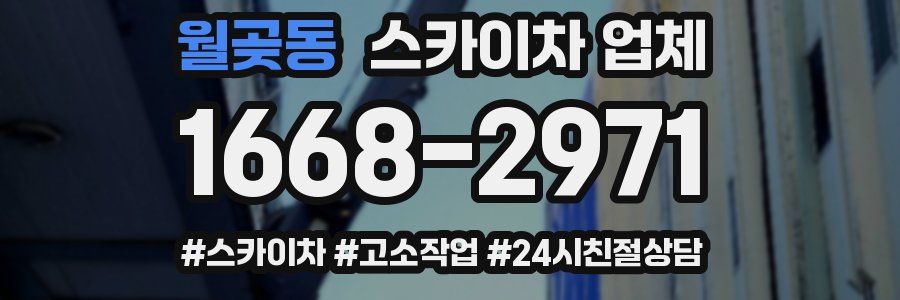 월곶동 스카이차 업체