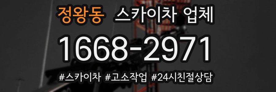 정왕동 스카이차 업체