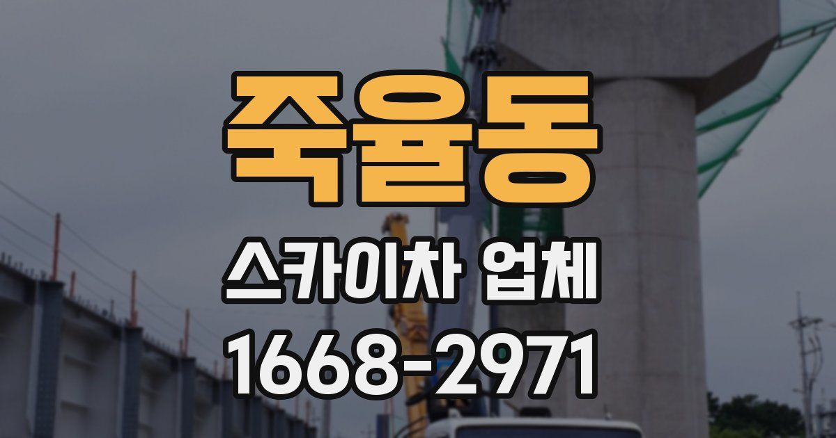죽율동 스카이차 업체