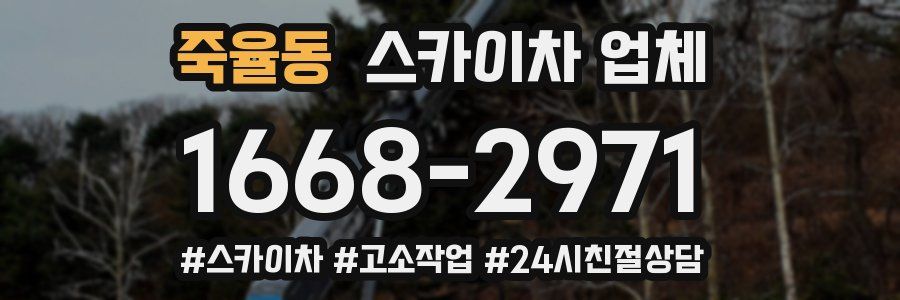 죽율동 스카이차 업체