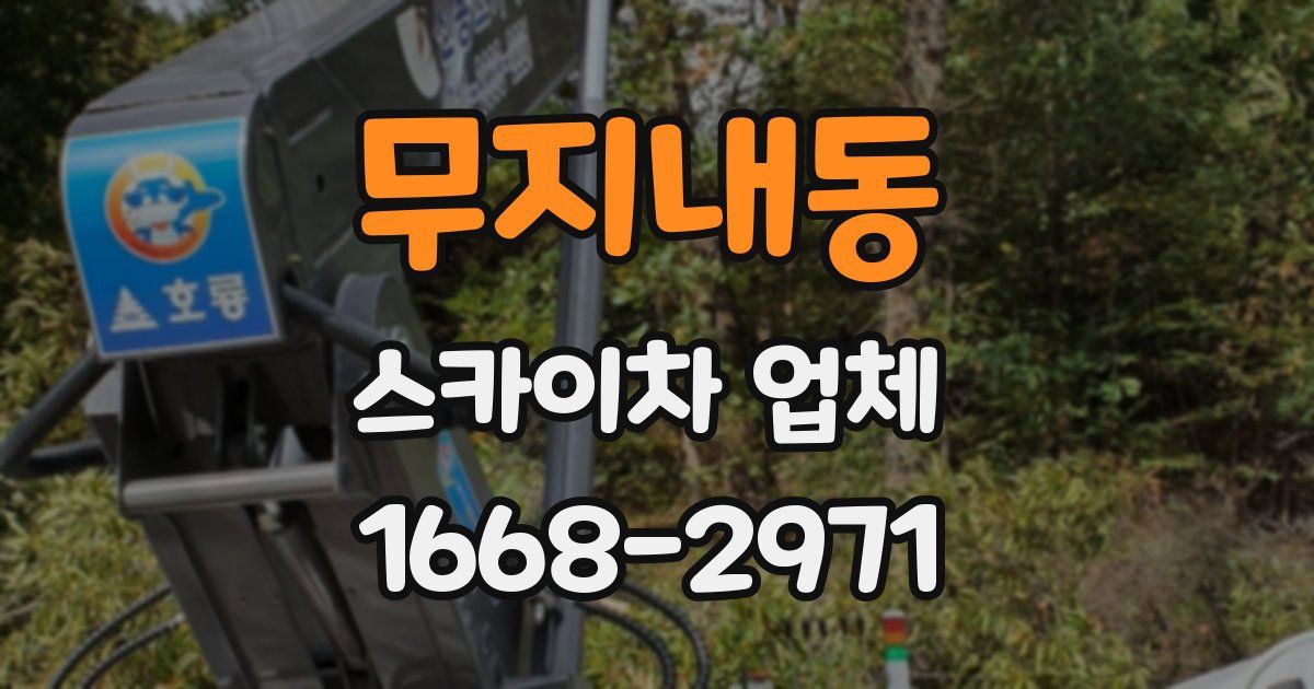 무지내동 스카이차 업체
