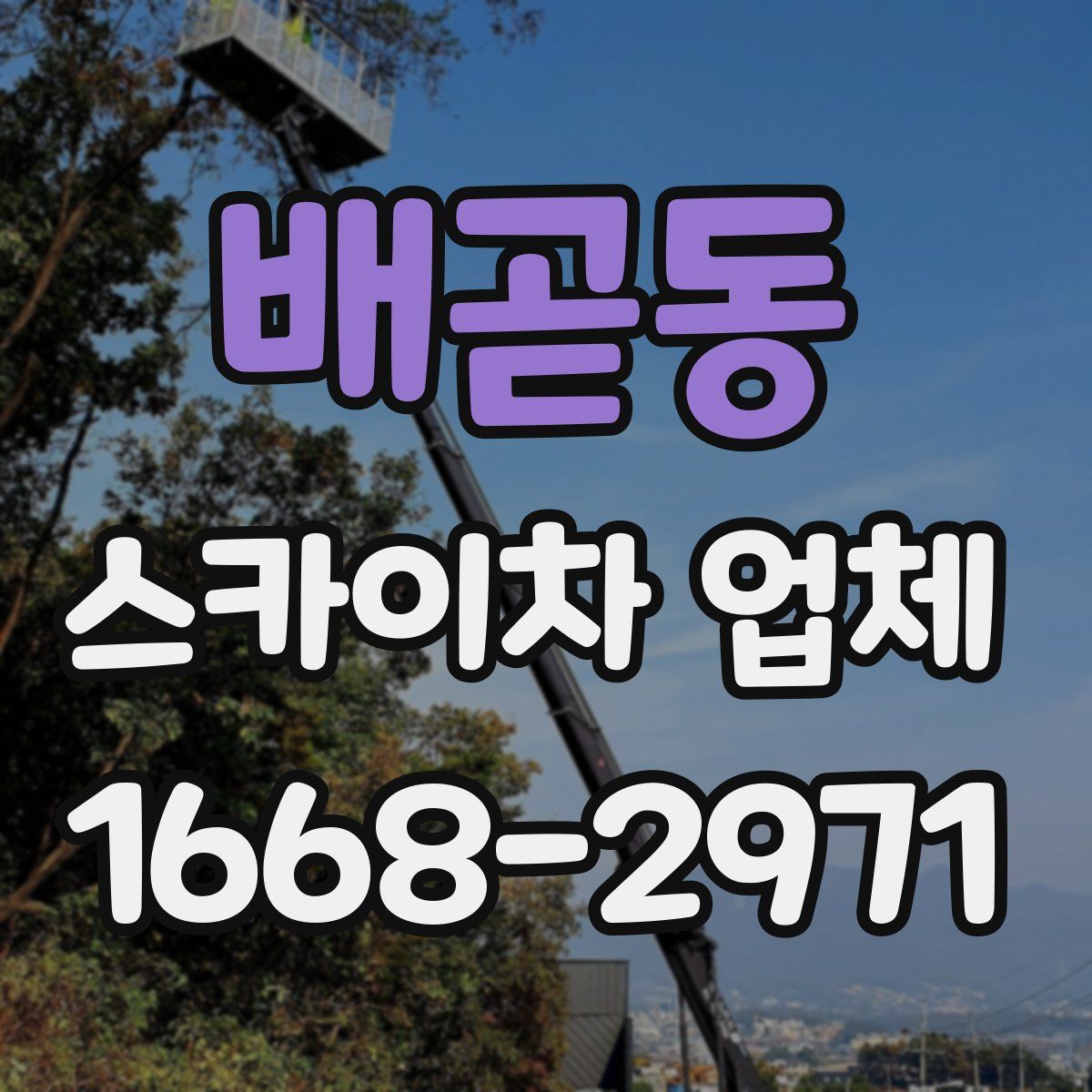 배곧동 스카이차 업체