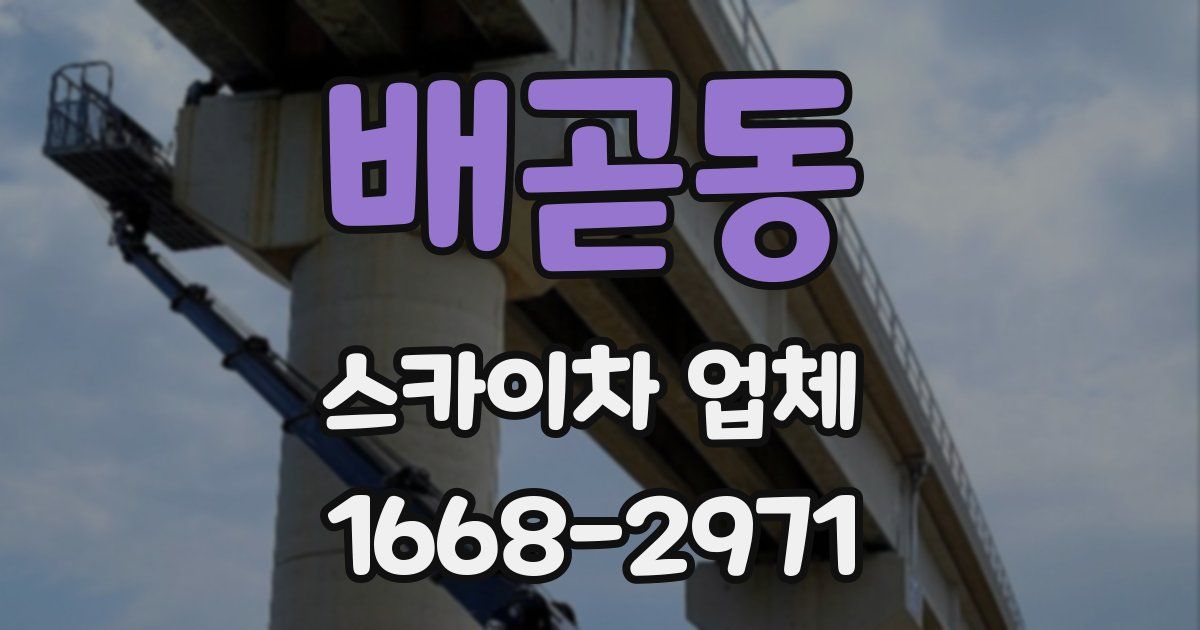 배곧동 스카이차 업체