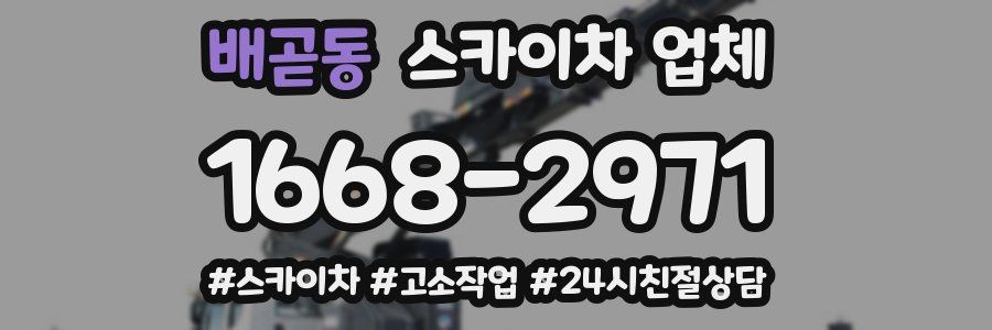 배곧동 스카이차 업체