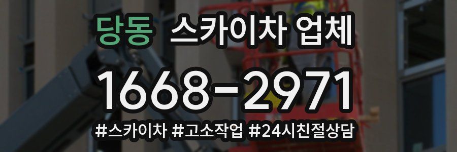 당동 스카이차 업체