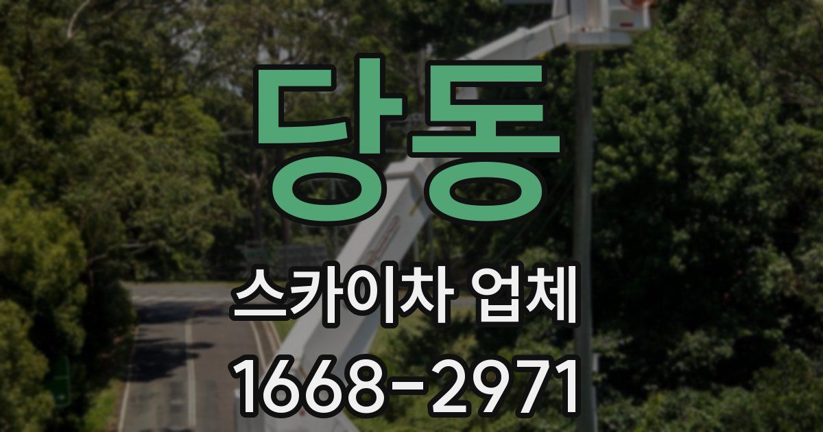 당동 스카이차 업체