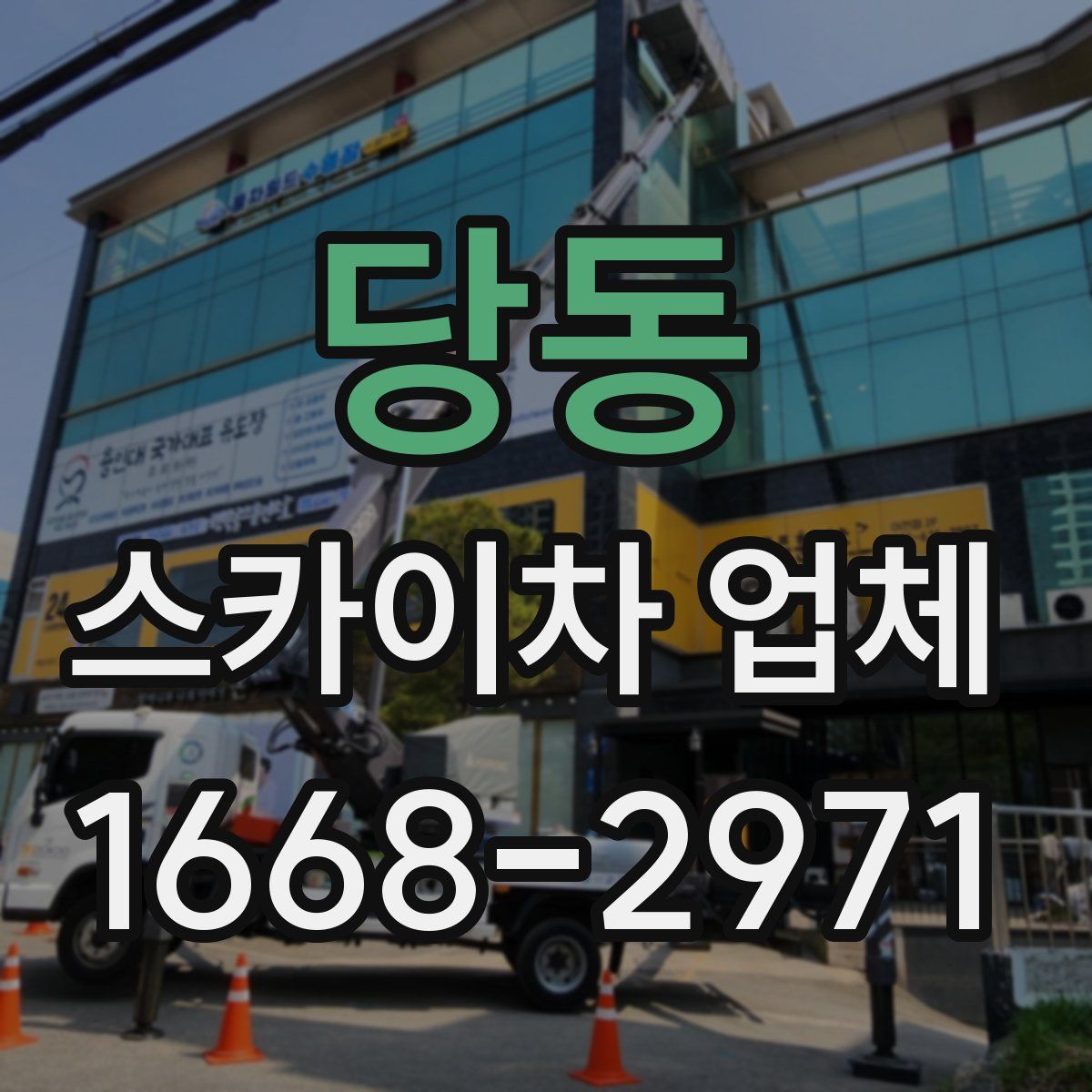 당동 스카이차 업체