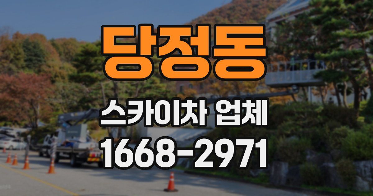 당정동 스카이차 업체