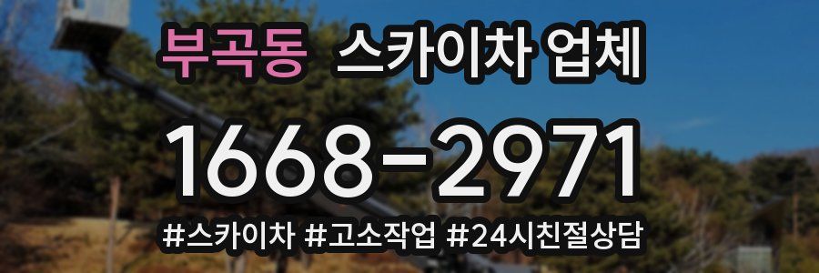 부곡동 스카이차 업체