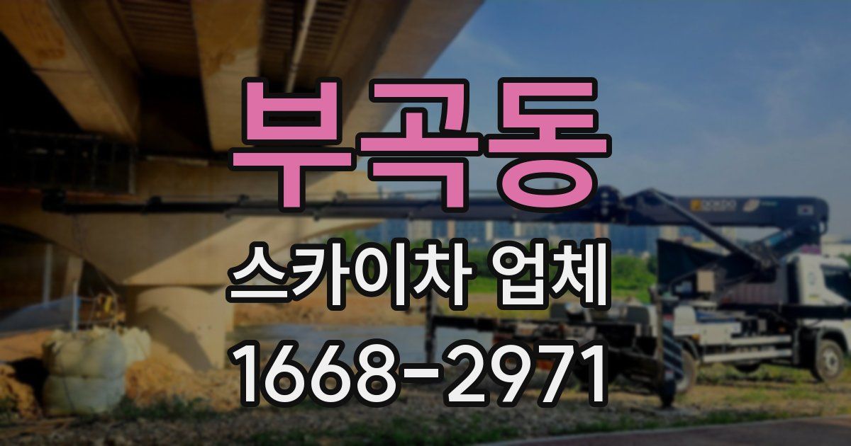 부곡동 스카이차 업체