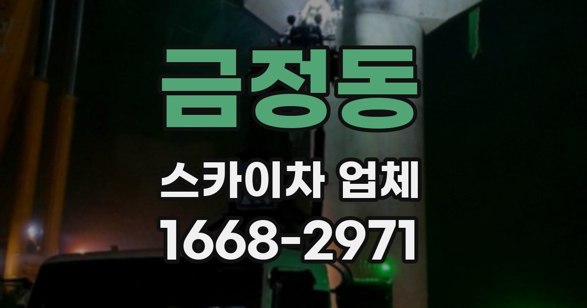 금정동 스카이차 업체