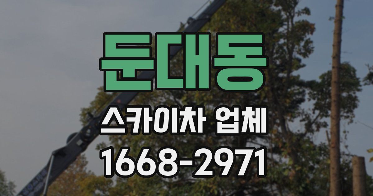 둔대동 스카이차 업체