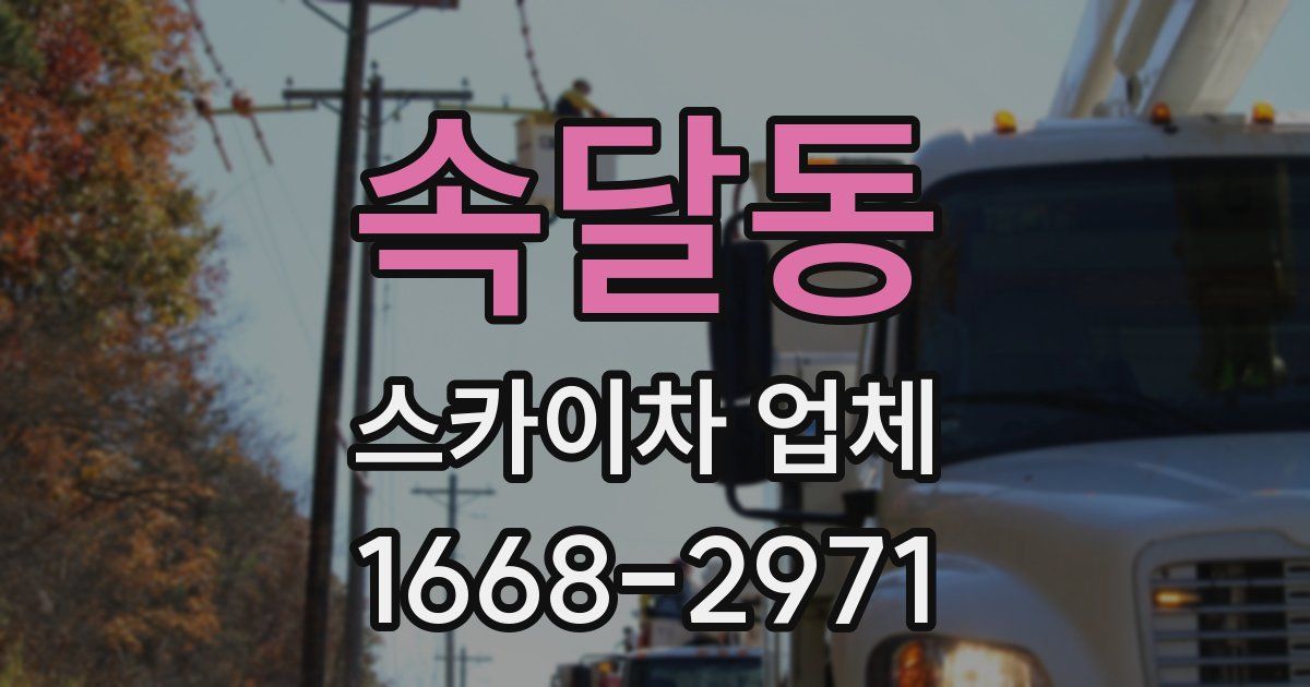 속달동 스카이차 업체