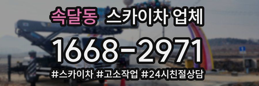 속달동 스카이차 업체