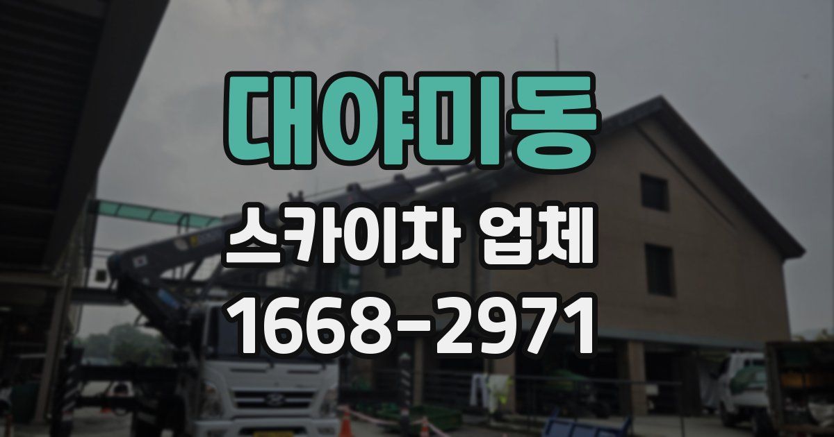 대야미동 스카이차 업체
