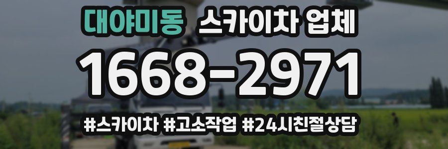 대야미동 스카이차 업체