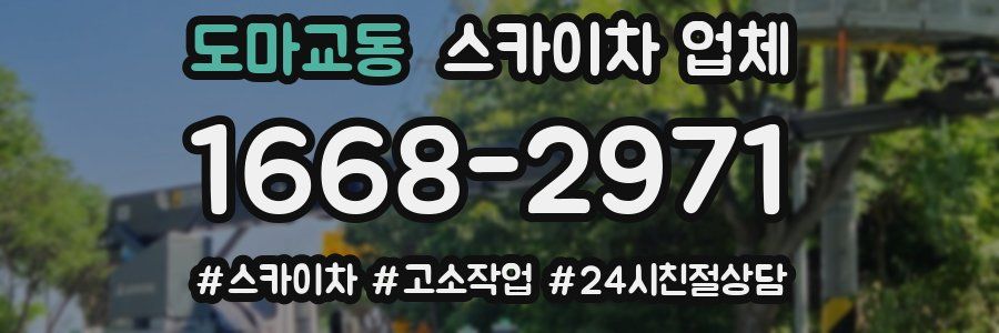도마교동 스카이차 업체