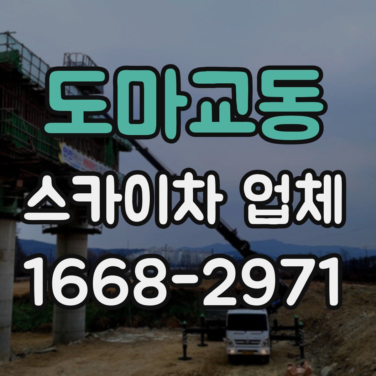 도마교동 스카이차 업체