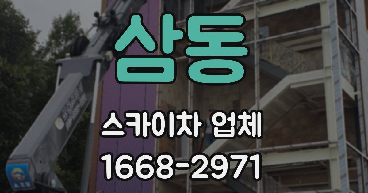 삼동 스카이차 업체