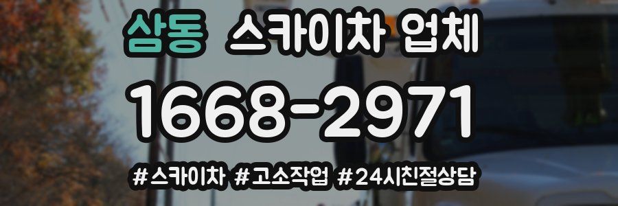 삼동 스카이차 업체