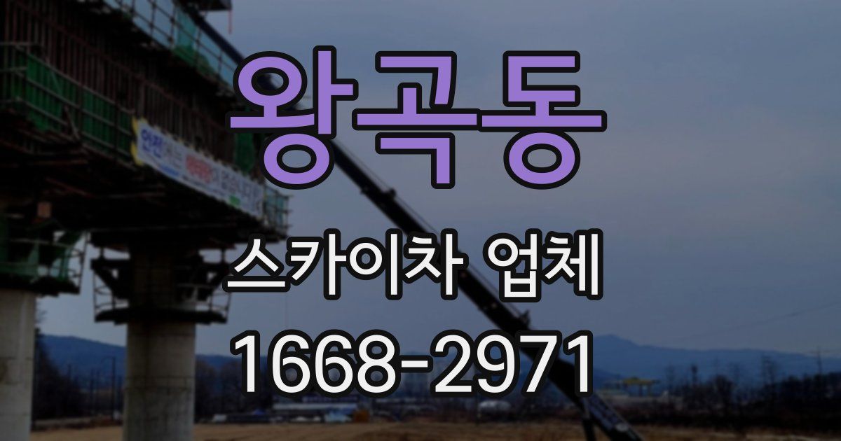 왕곡동 스카이차 업체