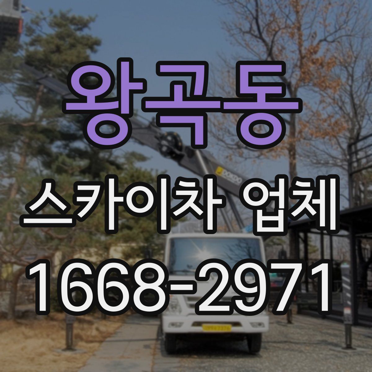 왕곡동 스카이차 업체