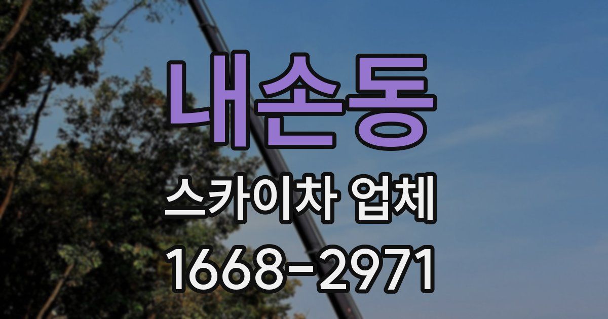 내손동 스카이차 업체