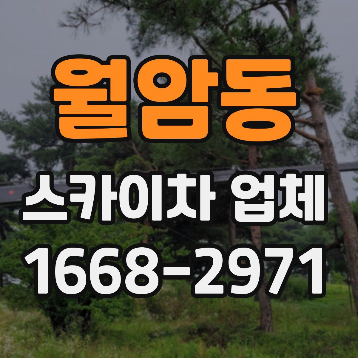 월암동 스카이차 업체