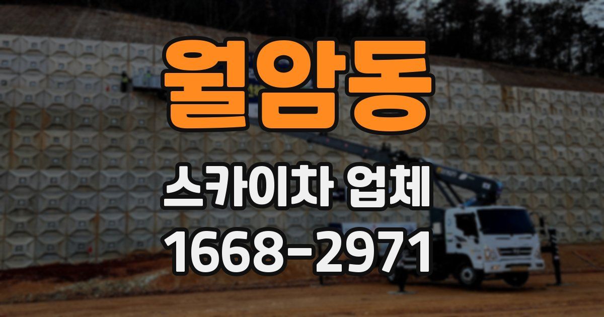 월암동 스카이차 업체