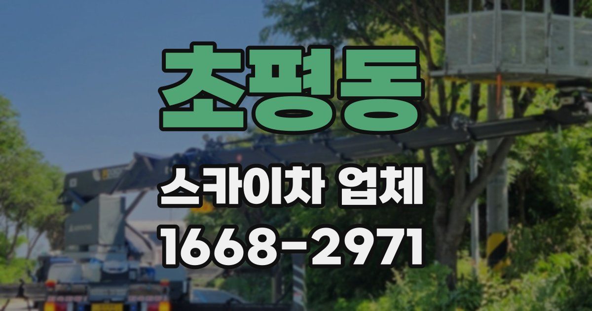 초평동 스카이차 업체