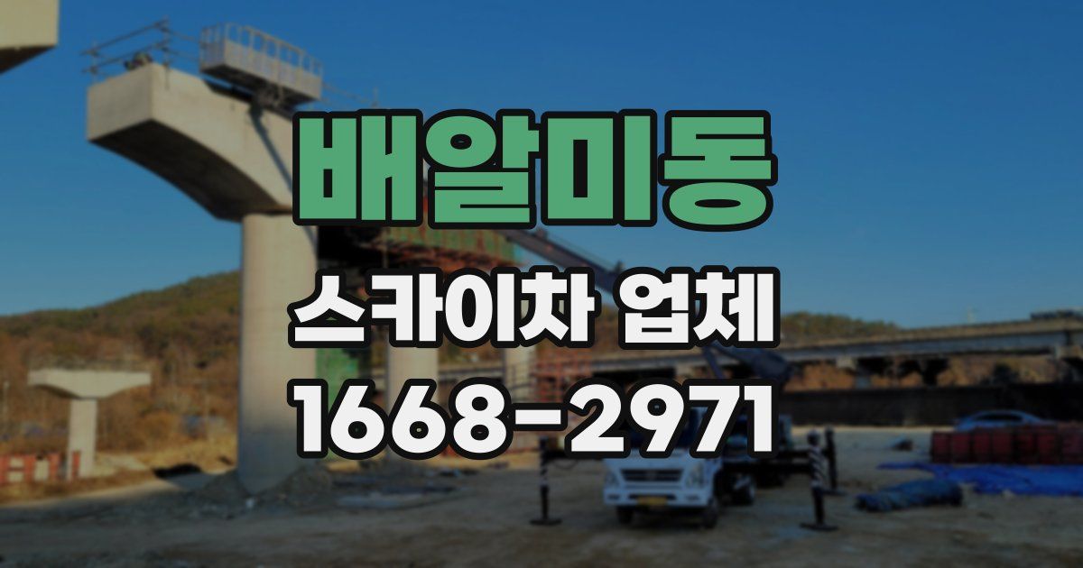 배알미동 스카이차 업체