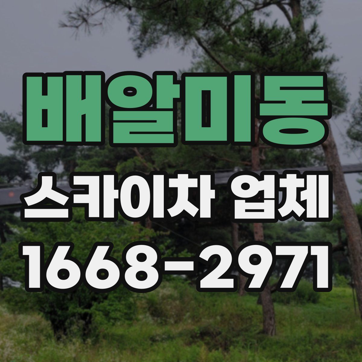배알미동 스카이차 업체